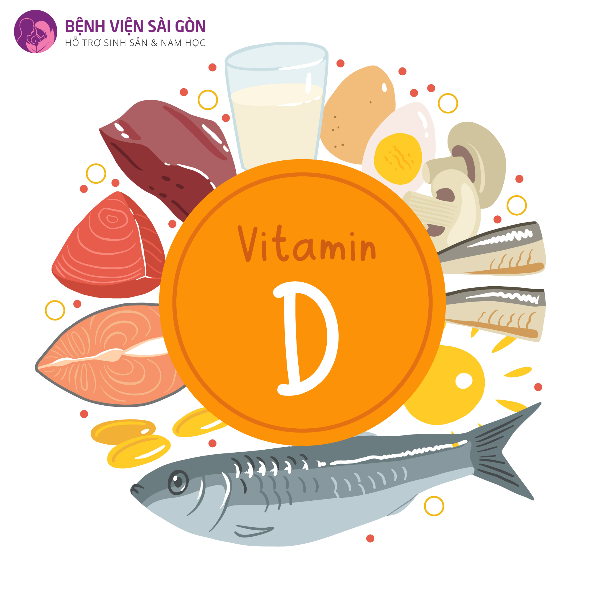 Cá giúp bổ sung Vitamin D và chất béo