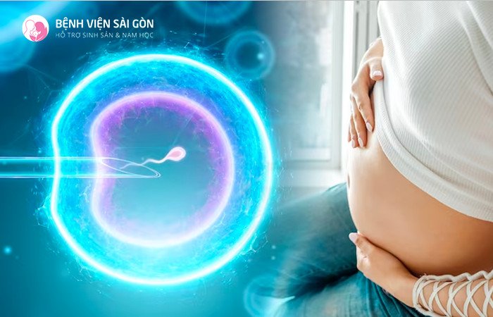 Thụ tinh ống nghiệm IVF - Ảnh minh họa